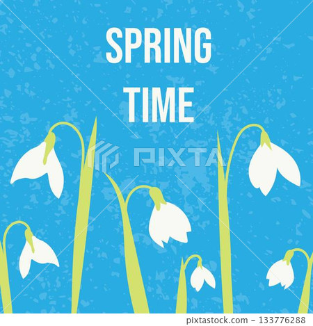 A spring card with cute snowdrops on an blue background. A spring card with cute snowdrops on an blue background. 133776288