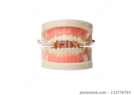 Showcasing an aligned dental model, isolated, PNG Showcasing an aligned dental model, isolated, PNG 133776765