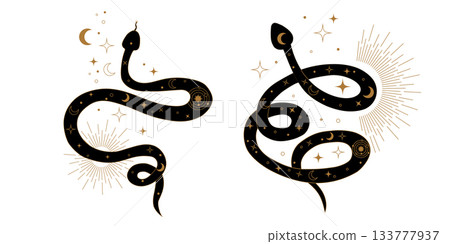 Kundalini serpent set with sacred geometry patterns representing spiritual growth and vitality. Mystical snakes drawn in abstract symbolic style reflecting divine awakening and peace. Kundalini serpent set with sacred geometry patterns representing spiritual growth and vitality. Mystical snakes drawn in abstract symbolic style reflecting divine awakening and peace. 133777937