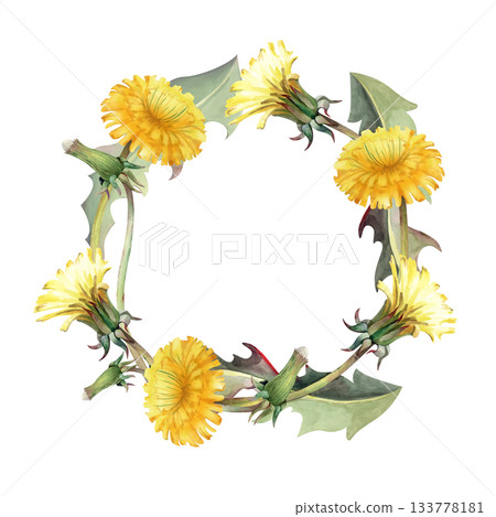 A round frame of yellow dandelions on an isolated background. Watercolor illustration of a wreath of realistic wildflowers. Floral vintage template with an empty place to insert. 133778181