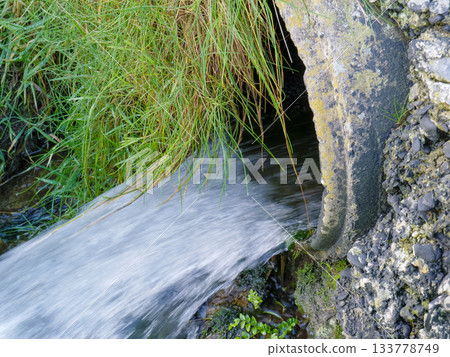 Water rushes from a concrete drainage pipe into a small stream. Green grass hangs over the pipe 133778749