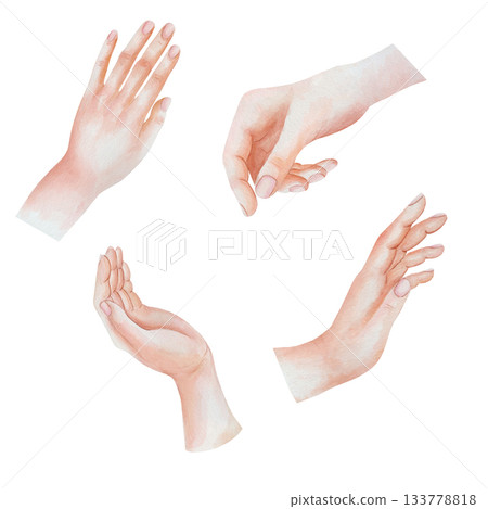 Set of watercolor female hands with delicate gestures, elegant, minimalist illustration. Soft anatomical poses are suitable for designs in the field of beauty, health or skincare with clean aesthetic Set of watercolor female hands with delicate gestures, elegant, minimalist illustration. Soft anatomical poses are suitable for designs in the field of beauty, health or skincare with clean aesthetic 133778818