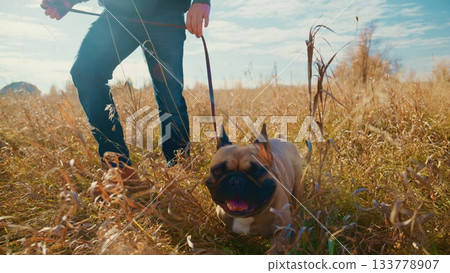 A Person Walking a Happy Dog in a Sunlit Field Surrounded by Golden Grass on a Clear Day, Showcasing the Joy of Outdoor Adventures and the Bond Between Humans and Their Pets A Person Walking a Happy Dog in a Sunlit Field Surrounded by Golden Grass on a Clear Day, Showcasing the Joy of Outdoor Adventures and the Bond Between Humans and Their Pets 133778907