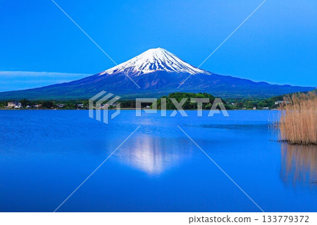 [Yamanashi Prefecture] Mount Fuji as seen from Lake Kawaguchi 133779372