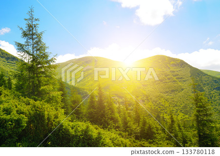 Scenic Mountain Pass Bathed in Golden Morning Light 133780118