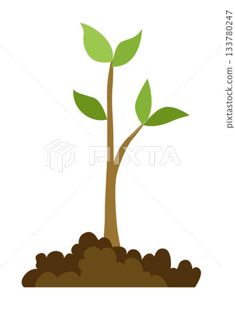 Stage of tree growth. Small tree growth with green leaf and branches. Illustration of business cycle development Stage of tree growth. Small tree growth with green leaf and branches. Illustration of business cycle development 133780247