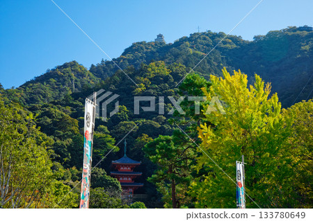 Gifu Castle Kinkazan 133780649