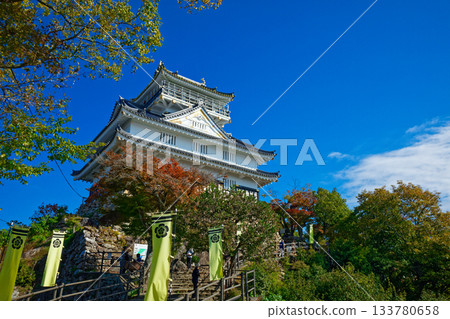 岐阜城堡Kinkazan 岐阜城堡Kinkazan 133780658