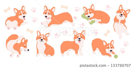 Funny corgi characters. Positive corgis sleeping, playing with ball, running and sitting. Cute puppy various poses. Cartoon little dog racy vector clipart 133780707