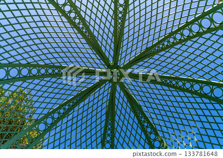 Iron structure dome background. Architectural detail. Iron roof design of gazebo. Iron framed ceiling roof of alcove. Detailed architecture 133781648