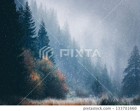 stylized picture of snowy winter forest, in the foreground snow-covered pine trees and falling snow, cozy atmosphere, can be used as background or a separate poster stylized picture of snowy winter forest, in the foreground snow-covered pine trees and falling snow, cozy atmosphere, can be used as background or a separate poster 133781660