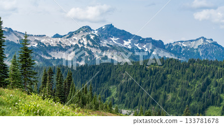 Mountain valley. Pine tree and mountain landscape with forest. Forest nature with mount. Green valley landscape. Nature in mountain countryside. Landscape of countryside valley. Enchanting forest Mountain valley. Pine tree and mountain landscape with forest. Forest nature with mount. Green valley landscape. Nature in mountain countryside. Landscape of countryside valley. Enchanting forest 133781678