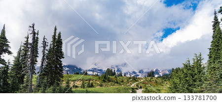 Nature of mountain forest. Green forest wood landscape in mountain. Cloudy weather. Nature of mixed forest. Landscape of scenery nature. Scenic landscape of woodland. Hill landscape with forest Nature of mountain forest. Green forest wood landscape in mountain. Cloudy weather. Nature of mixed forest. Landscape of scenery nature. Scenic landscape of woodland. Hill landscape with forest 133781700