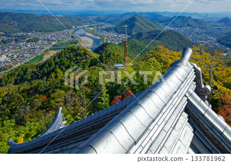 從岐阜城眺望長良川方向的城市景觀 133781962