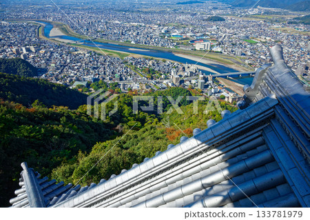 從岐阜城眺望長良川方向的城市景觀 從岐阜城眺望長良川方向的城市景觀 133781979