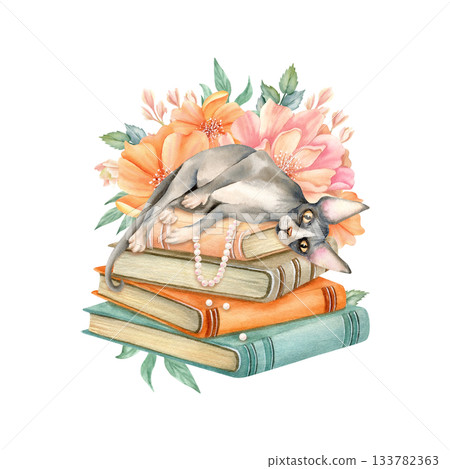 Sphynx cat is lying on stack of books with pearl necklace and delicate flowers behind. Cozy spring composition with cute Sphinx kitty on old literature, accessories. Watercolor isolated illustration 133782363