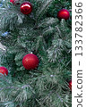 Red Christmas balls hanging on green pine branches. 133782366
