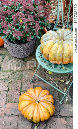 Large decorative pumpkins displayed on a vintage green metal chair and brick patio with a potted plant 133782480