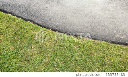 Sharp dividing line between lush green lawn and smooth grey asphalt road surface. Abstract texture contrast Sharp dividing line between lush green lawn and smooth grey asphalt road surface. Abstract texture contrast 133782483