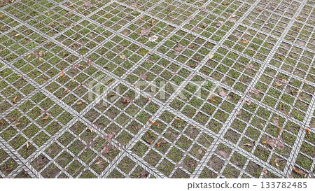 Sustainable grass pavers offer green parking and effective storm water management in an urban environment 133782485