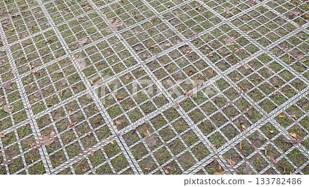 Sustainable grass pavers offer green parking and effective storm water management in an urban environment 133782486