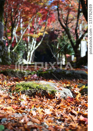 滋賀縣慶足寺的秋葉 133782689