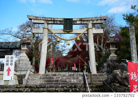 滋賀縣慶足寺的秋葉 133782702