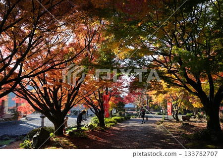 滋賀縣慶足寺的秋葉 133782707