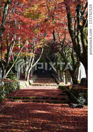 滋賀縣慶足寺的秋葉 133782826