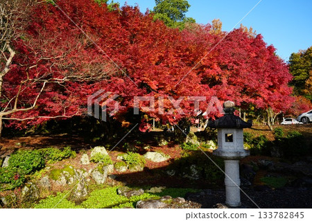 滋賀縣慶足寺的秋葉 133782845