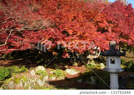 滋賀縣慶足寺的秋葉 133782846