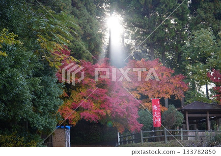 滋賀縣慶足寺的秋葉 133782850