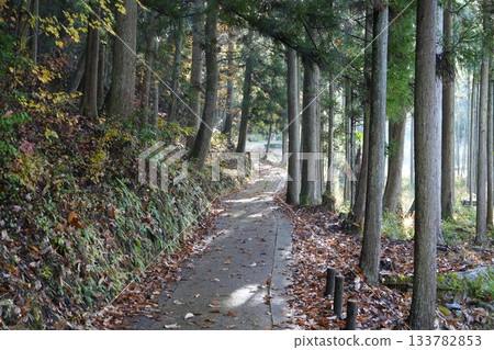 滋賀縣慶足寺的秋葉 133782853