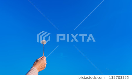 Woman's hand holding a dandelion against the sky, autumn late flowers on a warm autumn day, copy space with the concept of calm and tranquility 133783335
