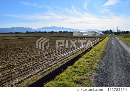 山形縣莊內秋季田園風光 133783354