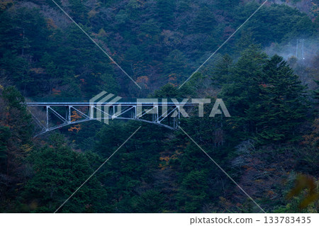 Hiryu Bridge in autumn at Sumata Gorge, Shizuoka Hiryu Bridge in autumn at Sumata Gorge, Shizuoka 133783435