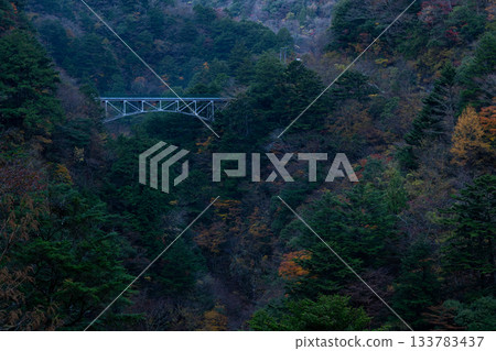 靜岡縣須摩多峽的飛龍橋秋景 133783437