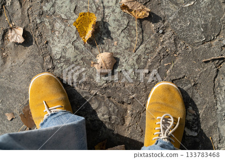 Falling leaves adorn the ground as I stand on a serene path, golden shoes contrasting with the earthy tones of the forest. Family bonding time unfolds amid nature's splendid backdrop. 133783468