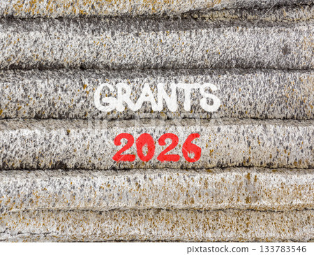 Grants 2026 symbol. Concept words Grants 2026 on beautiful grey mountain wall. Beautiful grey mountain wall background. Business and grants 2026 concept. Copy space. 133783546