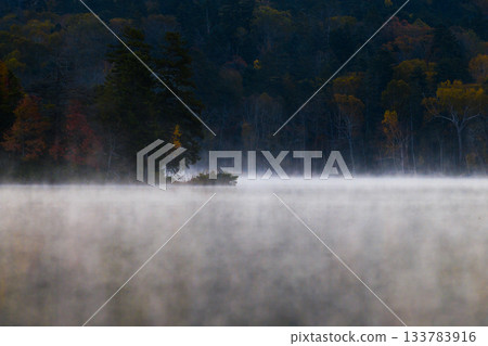 Autumn leaves of Onneto Autumn leaves of Onneto 133783916