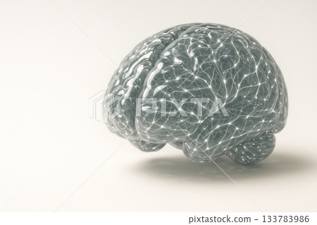 A transparent glass brain with shining lines. Space for text. A transparent glass brain with shining lines. Space for text. 133783986
