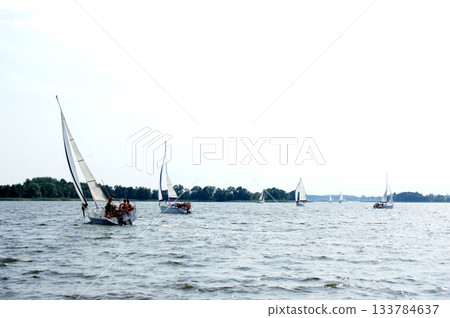 sailboat boat floats on the lake 133784637