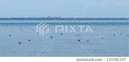 琵琶湖清晨湖畔風光 琵琶湖清晨湖畔風光 133785147