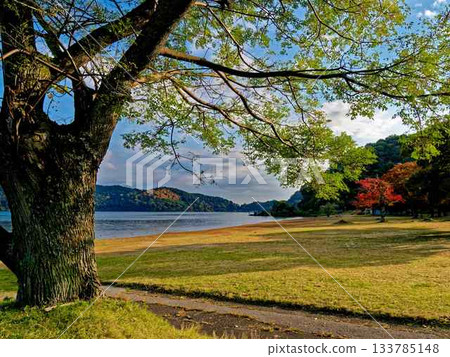 琵琶湖清晨湖畔風光 琵琶湖清晨湖畔風光 133785148