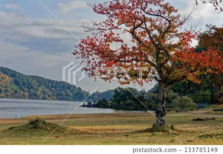 琵琶湖清晨湖畔風光 琵琶湖清晨湖畔風光 133785149