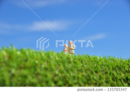 Image of seniors walking side by side 133785347