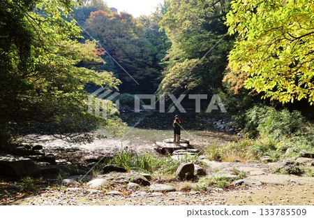 Sanshiro Pond dyed in autumn leaves Sanshiro Pond dyed in autumn leaves 133785509