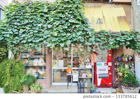 General store in Nezu General store in Nezu 133785612