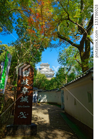 Gifu Castle Kinkazan 133786028