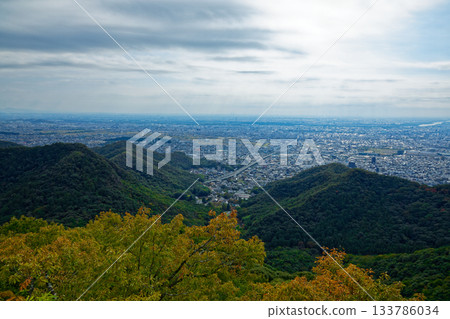 從金華山展望台眺望岐阜東繞道方向的城市景觀 133786034